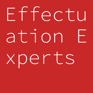 Effectuation Experts