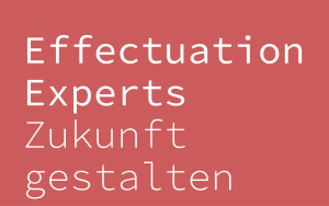 Effectuation Experts